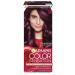 Garnier Hair color color sensation tone 3.16
