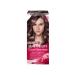 Garnier Hair dye color sensation tone 6.12