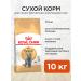 ROYAL CANIN Cat Feed dry British shorthair British 10 kg