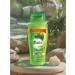 Dabur Vatika shampoo against hair loss 700 ml - Buy Online on GoSupps.com
