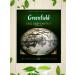 Greenfield Black tea Earl Grey 100 Packages - Buy Online on GoSupps.com
