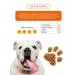 Grand Dog Large breeding dogs 10 kg - Buy Online on GoSupps.com