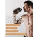 PM Organic Nutrition Serum protein Whey 750 grams ice cream - Buy Online on GoSupps.com