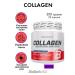 BioTechUSA Collagen hydrolyzed beef collagen