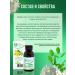 Dr Giller Tincture of Sophora Japanese fruits phyto diabetic tea - Buy Online on GoSupps.com