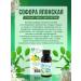 Dr Giller Tincture of Sophora Japanese fruits phyto diabetic tea - Buy Online on GoSupps.com