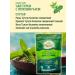 Organic India Tulsey green tea Tulsi Green Tea Ayurvedic tea 100 g - Buy Online on GoSupps.com