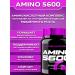 Scitec Nutrition Amino acids Amino 5600 for athletes 1000 tablets - Buy Online on GoSupps.com