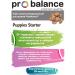 ProBalance Puppies Starter puppies from 3 weeks 10 kg - Buy Online on GoSupps.com
