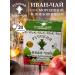 Russian Ivan-tea Herbal tea in bags with currant and rosehip 20 pieces