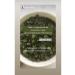 Africa Natural Herbal tea and spices from Moring leaves green detox 50g - Buy Online on GoSupps.com