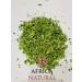 Africa Natural Herbal tea and spices from Moring leaves green detox 50g - Buy Online on GoSupps.com