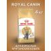 Royal Canin British adult food for British cats 4 kg