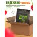 Vologda Manufactory Apple sticks fitness without sugar with raspberries - Buy Online on GoSupps.com