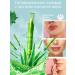 Oak forest Hygienic lipstick lip balm with aloe vera