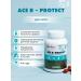 Art Life ACE R-PROTECT Antioxidants Selenium Resveratrol - Buy Online on GoSupps.com