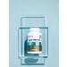 Art Life ACE R-PROTECT Antioxidants Selenium Resveratrol - Buy Online on GoSupps.com