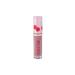 VIVIENNE SABO Lip gloss Le Grand Volume tone 15 beige-burgundy - Buy Online on GoSupps.com