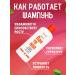 EVO Shampoo for damaged dry hair Panthenol 250 ml 2 pcs - Buy Online on GoSupps.com