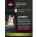 LANDOR Folding cat food turkey with lamb 2 kg - Buy Online on GoSupps.com