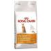 ROYAL CANIN Protein Exigent for cats 4 kg - Buy Online on GoSupps.com