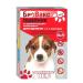 Biovax Collar of Bloch for puppies and small sobak