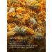 Grandfather Altai Altai herbs "calendula" 40 grams - Buy Online on GoSupps.com