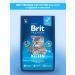 Brit Dry food for kittens Premium chicken salmon 8 kg - Buy Online on GoSupps.com