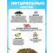 Danila Travnik Herbal tea for atherosclerosis Altai phytochai - Buy Online on GoSupps.com
