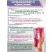 Wella Color Touch Hair dye Professional Uzammiachy Wella 5 37 - Buy Online on GoSupps.com