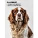 Spets Shampoo for dogs and puppies hypoallergenic with panthenol 1l - Buy Online on GoSupps.com