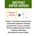 biolite Extract of burdock root of food 75 ml - Buy Online on GoSupps.com