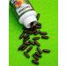 CHIKALAB Sunflower lecithin in capsules 60pcs - Buy Online on GoSupps.com