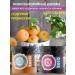 MR DJEMIUS ZERO Jams low -calorie blueberry apricot without sugar 2 to 270 g - Buy Online on GoSupps.com