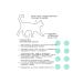 AJO CAT STERILE FORME for active sterilized cats - Buy Online on GoSupps.com
