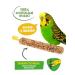 HAPPY JUNGLE Bird's treats honey+egg 3 pcs - Buy Online on GoSupps.com