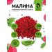 Delicious from Crimea Slumed raspberries dried berries 2000 grams