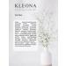KLEONA Moisturizing face tonic - balance - Buy Online on GoSupps.com