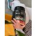 Optimum Nutrition Protein 100% Whey Gold Standard 907 milk chocolate - Buy Online on GoSupps.com