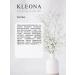 KLEONA Facial Lotion of acne cleansing departure from black dots - Buy Online on GoSupps.com