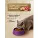 SECRET FOR PETS Cat food for dry veal 2 kg - Buy Online on GoSupps.com
