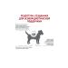 ROYAL CANIN Dry food Hypoallergenic Small Dogs for small dogs 1 kg - Buy Online on GoSupps.com