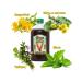 Vitan-NN Syrup Vitan-Sport functional without sugar 250 ml - Buy Online on GoSupps.com