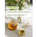 Altai cedar Herbal tea choleretic. With immortality for the liver - Buy Online on GoSupps.com