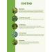 Altai cedar Herbal tea complex to improve digestion for the stomach - Buy Online on GoSupps.com