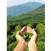 Tea black leaf riston vintage blend 200 g - Buy Online on GoSupps.com