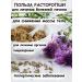 Tree of Love Seeds of milk thistle - Buy Online on GoSupps.com