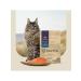 SAVITA Bezernary food for sterilized cats with trout 2kg - Buy Online on GoSupps.com