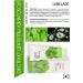 Lebelage Hand cream moisturizing Korea with centella 100ml - Buy Online on GoSupps.com