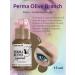 Perma Blend Olive Branch eyebrow tattoo